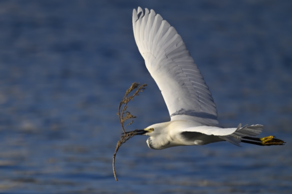 慧仁策略 致敬时代记录者，尼康助力新闻工作者捕捉真相