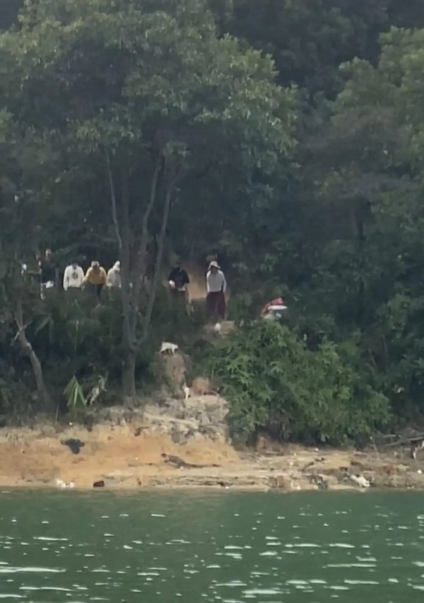 K8金融 有人将上千只猫放生广东清远水库区域，人民网评：放生不能以牺牲生态环境为代价